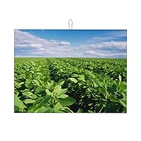 Soybean Field1 Dish Drying Mat Super Absorbent Heat Resistant Dish Drying Pad Microfiber Drainer Rack Mats For Kitchen Countertop Coffee Bar 18 X 24 Inches
