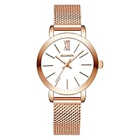 Women's Fashion Simple Quartz Watch with Dial Analog Display and Stainless Steel Band