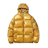 Mens Shiny Hooded Puffer Jackets Windproof Insulated Down Jacket Thick Warm Windbreaker Quilted Winter Coats for Men