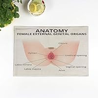Set of 4 Placemats Vulva The Structure of Female External Genitalia Medical Anatomy 12.5x17 Inch Non-Slip Washable Place Mats for Dinner Parties Decor Kitchen Table