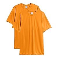 Hanes Men’s T-Shirt Pack, Cool Dri Moisture-wicking Performance Tee, Performance Athletic T-Shirt, 2-pack