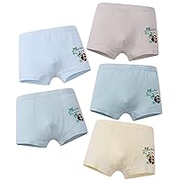 Kids Underwear Boys Cartoon Cute Panda Cotton Toddler Underwear (10 of pack)