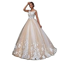 Women's Mesh Lace Applique Wedding Dress Long Round Neck A Line Prom Evening Dress