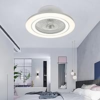 Mute Ceiling Fan with Light 3 Speeds Fan Lighting Bedroom Led Dimmable Fan Ceiling Light with Remote Control and Modern Living Roomt Ceiling Fan Light/Gray