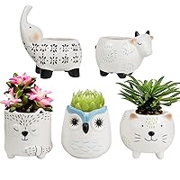LA JOLIE MUSE Small Succulent Pots with Drainage, Ceramic Animal Planter, Indoor Plant Pots, Cute Cactus Small Flower Pots for Home Decor Gifts for Mom and Office Desk Decoration, Set of 5 Pieces