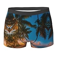 Sunset Hawaiian Palm Tree Print Mens Boxer Briefs Funny Novelty Underwear Hilarious Gifts for Comfy Breathable