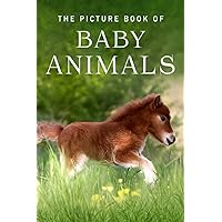 The Picture Book of Baby Animals: A Gift Book for Alzheimer's Patients and Seniors with Dementia (Picture Books - Animals) The Picture Book of Baby Animals: A Gift Book for Alzheimer's Patients and Seniors with Dementia (Picture Books - Animals) Paperback