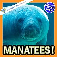 Manatees!: A My Incredible World Picture Book for Children (My Incredible World: Nature and Animal Picture Books for Children) Manatees!: A My Incredible World Picture Book for Children (My Incredible World: Nature and Animal Picture Books for Children) Paperback Kindle