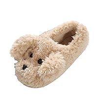 Indoor Home Warm Women's Shoes Soft-Soled Men's Slippers Shoes Cotton Men's Slipper Mens Furry Slippers