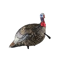 AVIAN-X LCD Jake Quarter Strut Durable Realistic Lifelike Collapsible Standing Folding Hunting Turkey Decoy with Carry Bag & Stake, AVX8003