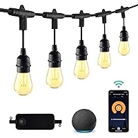 96ft Outdoor String Lights-Smart Outside String Lights-30 LED Bulbs Dimmable & Shatterproof, 2.4 GHz Wi-Fi & Bluetooth App Control, Works with Alexa/Google Home, IP65 Waterproof & Extendable