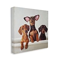 Stupell Industries Dachshunds in The Tub Pet Dog Bathroom Painting Canvas Wall Art, 17 x 17, Off- White