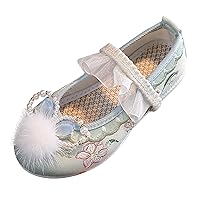 Sandals for Kids Girls Size 11 Girls Flat Bottomed Embroidered Sandals Fashionable Antique Toddler Dog Slippers Girls