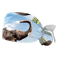 Elephant Bathing Adjustable Working Cap with Ponytail Holder, 2 Packs Scrub Cap Bouffant Hat for Men & Women, One Size