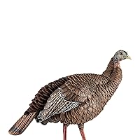 HDR Hen Turkey Decoy | Durable Realistic Lifelike Standing Hunting Decoy with 2 Removable Heads, Carry Bag & Integrated Stake, AVX8106