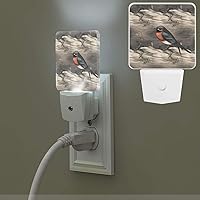 Barn Swallow in Graphite Print Night Light Plug-in Led Night Lamp Dusk to Dawn Smart Sensor 0.5w Nightlight Into Wall for Bedroom Hallway Bathroom Kitchen