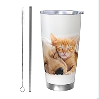 Cat And Dog Sleep Together Stainless Steel Tumbler Vacuum Insulated Travel Tumbler With Lid Coffee Mug Car Cup For Home Office Outdoor 20oz