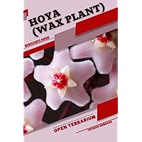 Hoya (Wax Plant): Open terrarium, Beginner's Guide