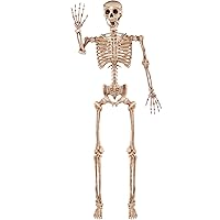 JOYIN 5.6 FT Halloween Posable Life Size Skeleton Full Body Realistic Bones with Movable Joints for Halloween Indoor and Outdoor Decoration