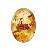 Genuine Myanmar Amber Stone Oval Shape with Fossils Insects Inclusions