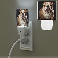 Plug-in Led Night Light Lamp English-Bulldog Print Night Light with Dusk to Dawn Sensor Plug in Indoor Decorative Nightlights for Bedroom Hallway Bathroom Kitchen