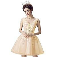 Women's V Neck Lace Appliques Homecoming Dresses Tulle Short Prom Party Dress