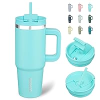 BJPKPK 30 oz Insulated Tumbler With Lid And Straw Stainless Steel Tumblers Cup With Handle For Women And Men,Turquoise
