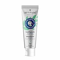 ATTITUDE Toothpaste with Fluoride, Prevents Tooth Decay and Cavities, Vegan, Cruelty-Free and Sugar-Free, Blueberry, 4.2 Oz