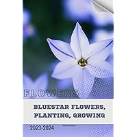 Bluestar Flowers, Planting, Growing: Become flowers expert