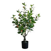 2.6FT（31“） Simulation Artificial Camellia Fruit Tree Artificial Plant Pruning Shrub Simulation Flower Office Home Decoration