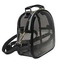 Women Transparent Jelly Shoulder Small Crossbody Bag Designer Fashion Handbag Clear Purse Laser Satchel