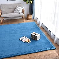 Modern Rugs Play Mat, Floor Mat Crawling Mat Flannel Exercise Mat for Living Room, Bedroom-Blue 200x220cm(79x87inch)
