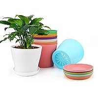 8 Pcs Plastic Plant Flower Seedlings Nursery Pot/Pots Planter Colorful Flower Plant Container Seed Starting Pots with Pallet 6.7inch Multicolord