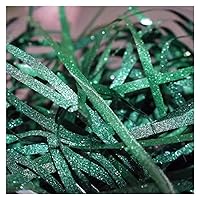 100g Glitter Raffia Paper Shreds, Colorful Laser Glitter Shredded Paper Filling for DIY Gift Wrapping, Basket Filling, Wedding Party Decor(Dark Green)