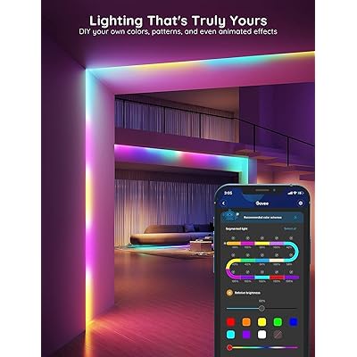 Govee RGBIC LED Smart Strip Lights 100 ft H618F, Segmented Multiple Colors