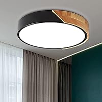 LED Ceiling Light Fixture, Modern 12