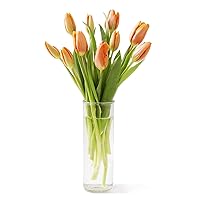 KaBloom PRIME NEXT DAY DELIVERY - Mother’s Day Collection - Bouquet of 10 Orange Tulips with Vase Gift for Birthday, Sympathy, Anniversary, Get Well, Thank You, Valentine, Mother’s Day Flowers