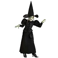 Fun Costumes Wizard of Oz Wicked Witch for Girls, the West Outfit for Scary Cosplay & Halloween X-Large