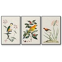 Renditions Gallery Nature Home Decor Paintings & Prints Scenic View of Birds Sitting on a Branch Black Floater Framed 3 Piece Wall Art for Living Room Office Kitchen - 24
