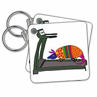 3dRose Key Chains Cool Humorous Armadillo on Treadmill Exercise Cartoon (kc-263927-1)