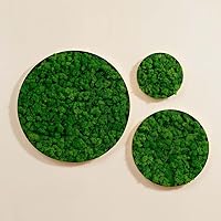 Fiseises Moss Wall Art, Unique Wall Panel for Indoor Spaces, Round metal frame Moss Wall Décor, Natural Green Wall Art, maintenance free vertical garden, real moss (Green-Medium pc)