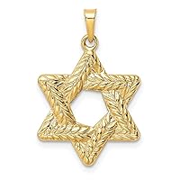 14k Gold Polished and Textured Solid Religious Judaica Star of David Pendant Necklace Measures 26.57x20.12mm Wide 1.22mm Thick Jewelry Gifts for Women