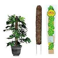 Mosser Lee Sphagnum Moss Pole for Indoor Plants, Monstera Moss Pole, Plant Pole Made in USA - Ideal for Climbing Plants, Enhances Plant Growth & Stability - 30