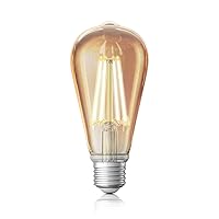 Zigbee Smart Bulb, Smart Hub Required, Work with SmartThings and Echo with built-in Hub, Voice Control with Alexa and Google Home, Amber Warm 2000K Smart Edison Bulbs, 60W Equivalent 1 Pack