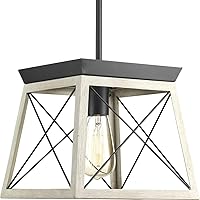 Progress Lighting Briarwood Collection 1-Light Coastal Mini-Pendant Light Graphite, Black