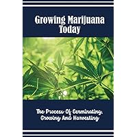 Growing Marijuana Today: The Process Of Germinating, Growing And Harvesting
