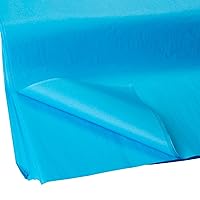 Jillson Roberts Bulk 20 x 30 Inches Recycled Tissue, Turquoise, 480 Unfolded Sheets (BFT39)