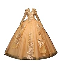 2024 Vintage V Neck Long Illusion Sleeves Prom Formal Evening Dresses A line Lace Applique