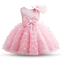 HNXDYY Baby Girl Tulle Dress Baby Birthday Party Dress Tutu Dresses for Toddler Girls