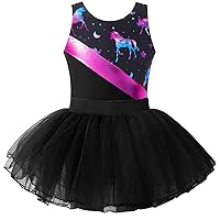 Girls Cute Leotard Dress with Tulle Tutu Skirt Kids Sleeveless Ballet Dress Outfit Gymnastics Biketards Activewear